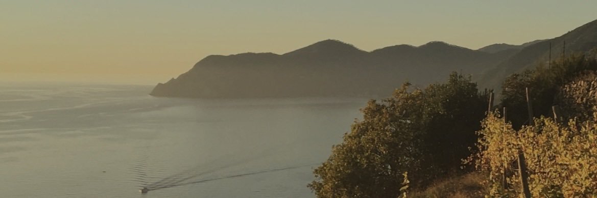 laurasegaa's profile banner image