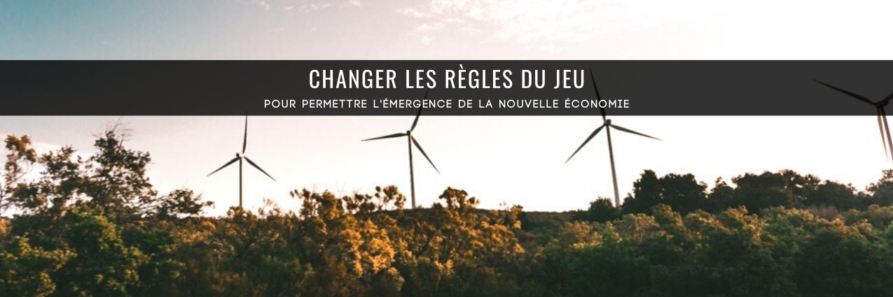 Mouvement d'Entrepreneurs de la Nouvelle Economie banner