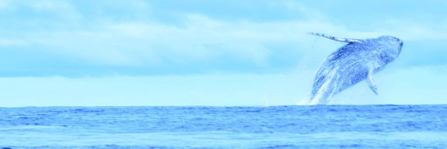 Vicky Flechas, PhD banner