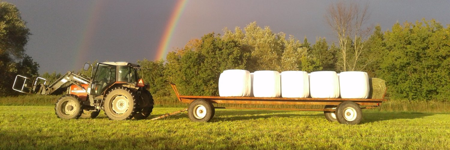 TrilliumMeadows's profile banner image