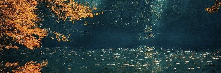 Aytekin Yılmaz banner