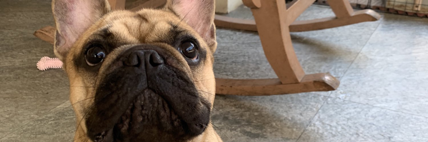 Appppprrr's profile banner image