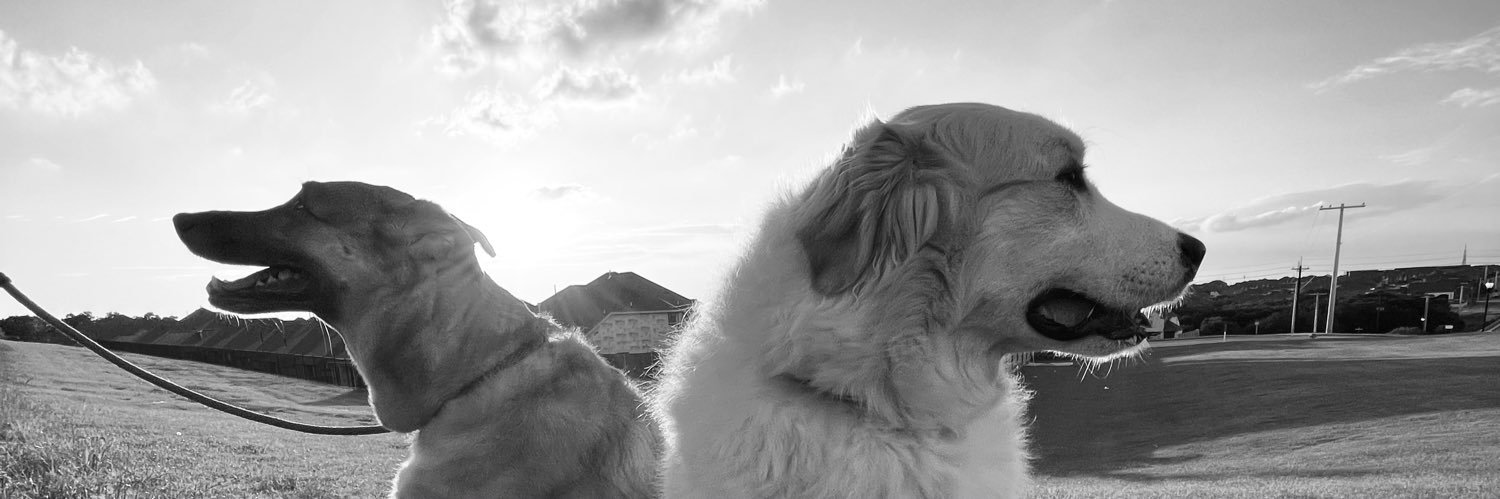 priscillasa7's profile banner image