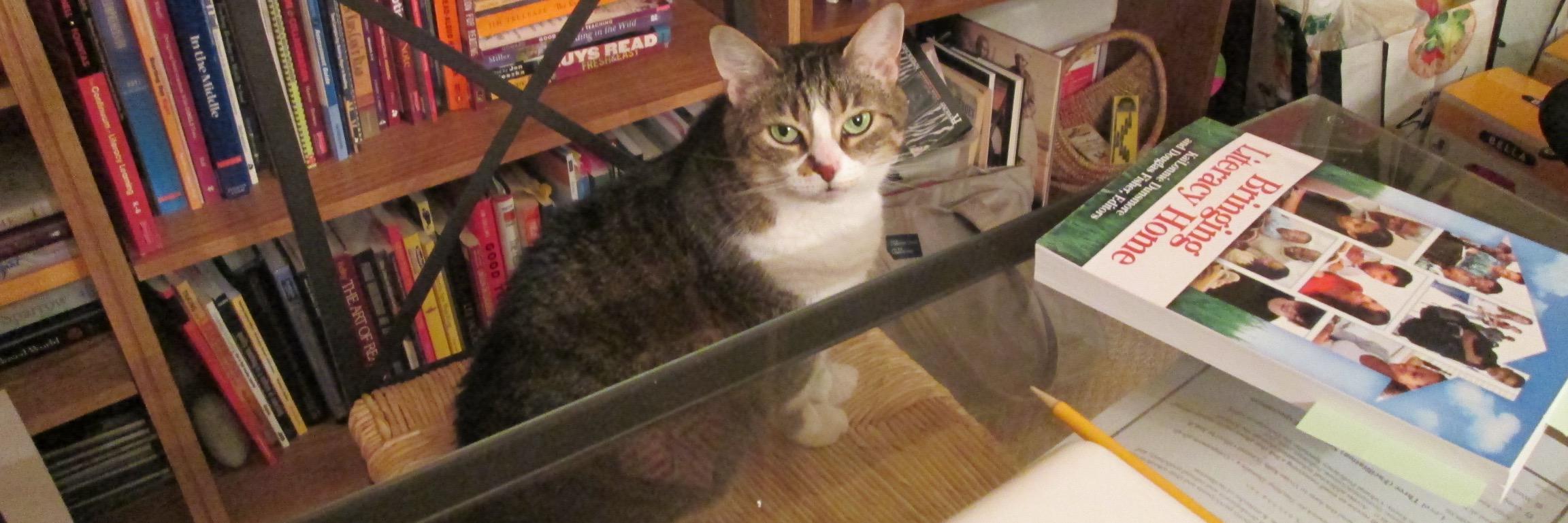 Judi A. Hunter banner