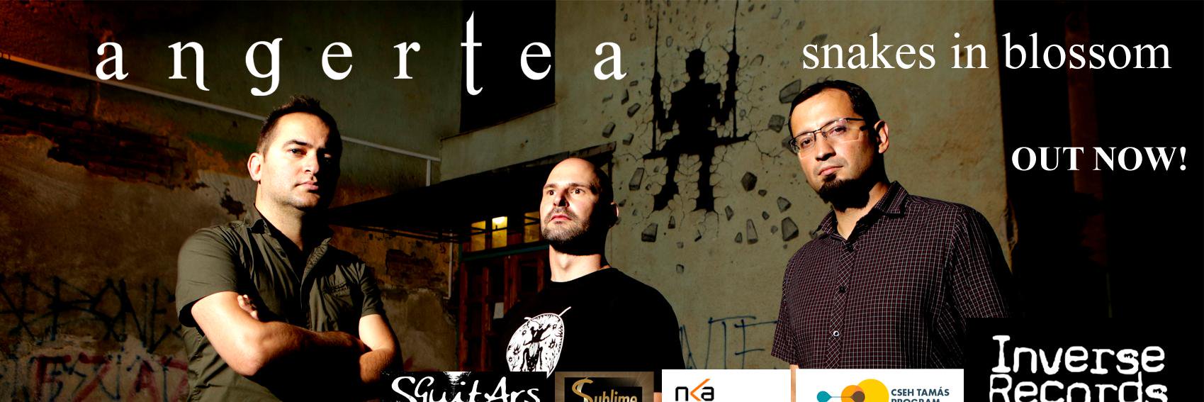 Angerteaband's profile banner image