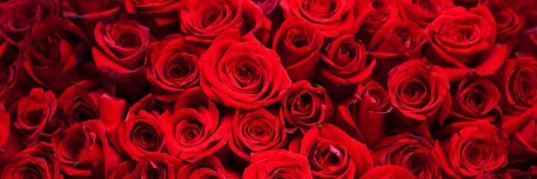 BarbeeGalvan's profile banner image