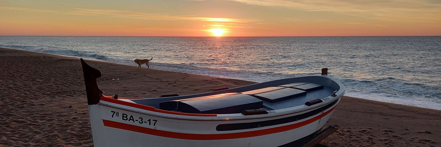 Mireia Bosch Tello banner