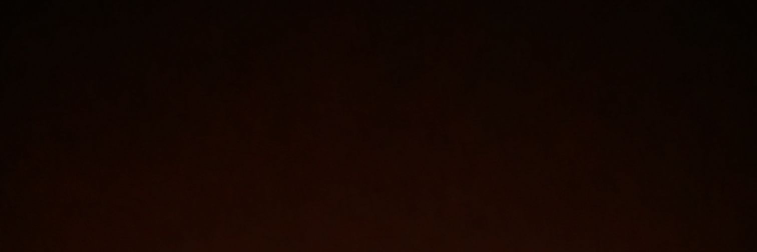 AnimalPersona's profile banner image