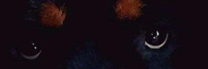 83ronald's profile banner image