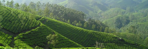 riadmeddeb Profile Banner