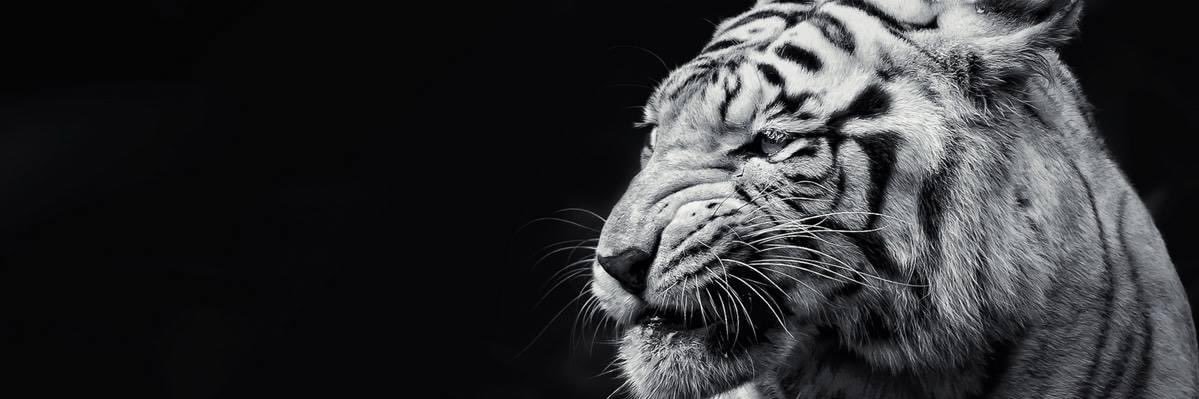 hakanarikann's profile banner image
