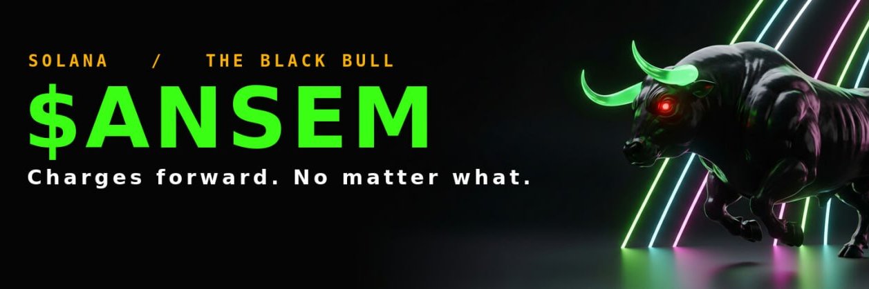 BlackBullnSOL's profile banner image