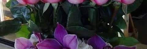 talebbindahr361's profile banner image