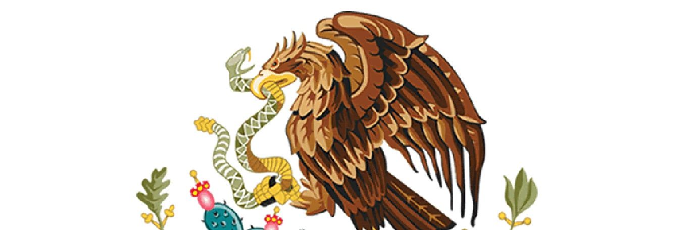 rCN banner