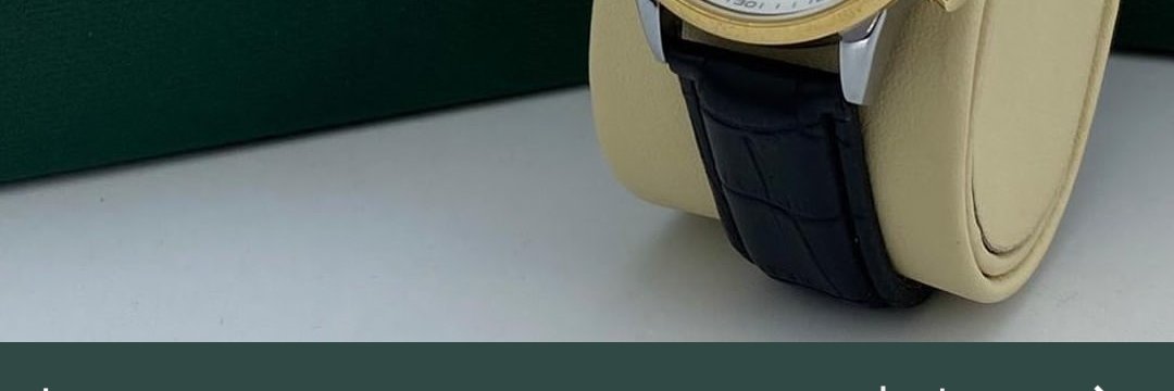 Malcomupsorex1's profile banner image