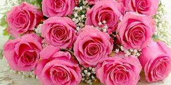 noor_rawahi's profile banner image