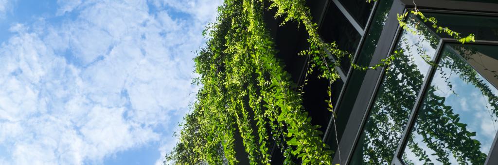 Taronga Group banner
