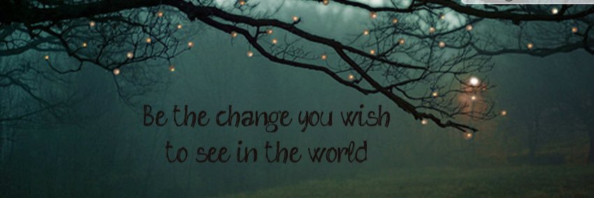 Ashley Litzelfelner banner