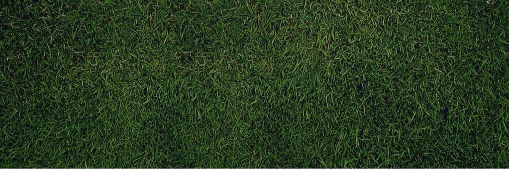 Section VI Lacrosse banner