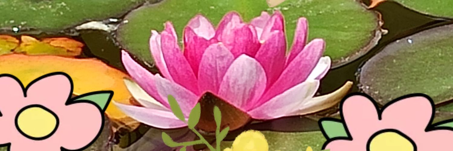 mmosqueraromar's profile banner image