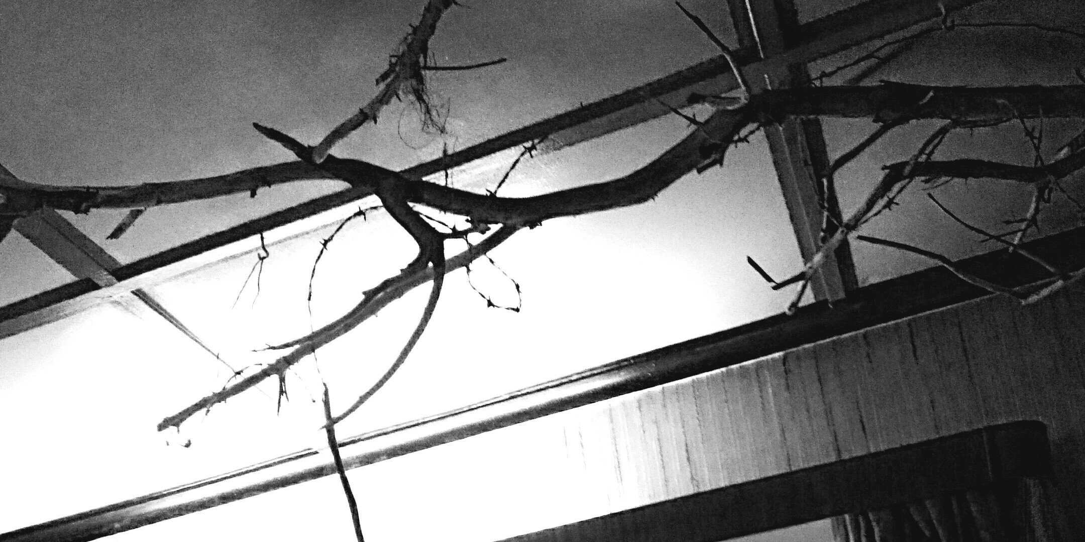MrMiau ⚡ banner
