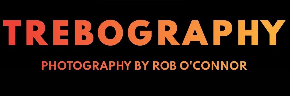 Rob O'Connor banner