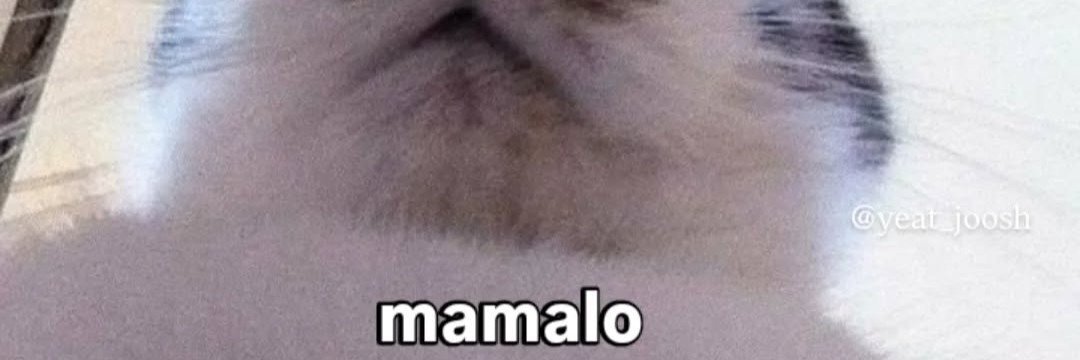 elk217_'s profile banner image
