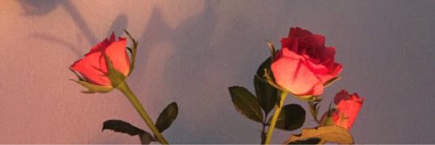 baldtaeil's profile banner image