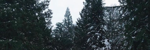 BoldSerpent's profile banner image
