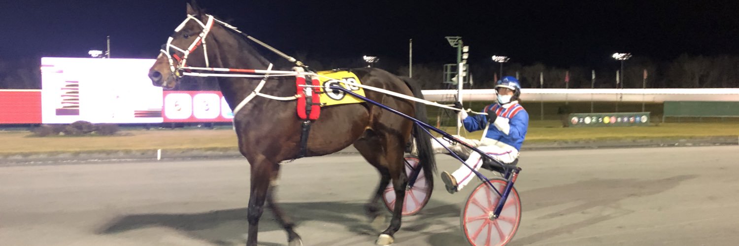 Theodore R. Black banner