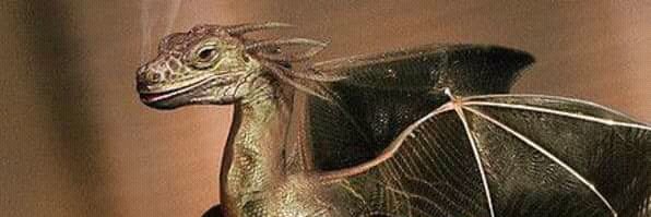 OYVyvyanBasterd's profile banner image