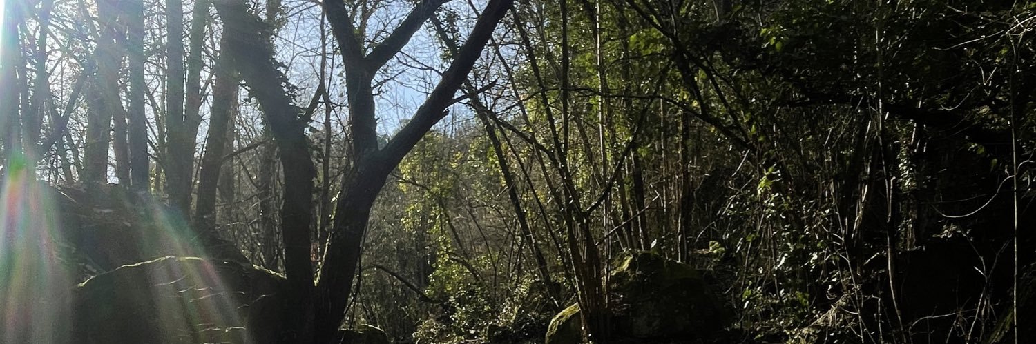 nahun.saldana banner