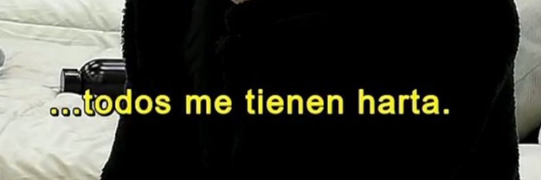 c e l e s t i n a ✨️🧚‍♀️ banner