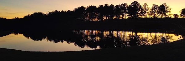SharonKennedyV Profile Banner