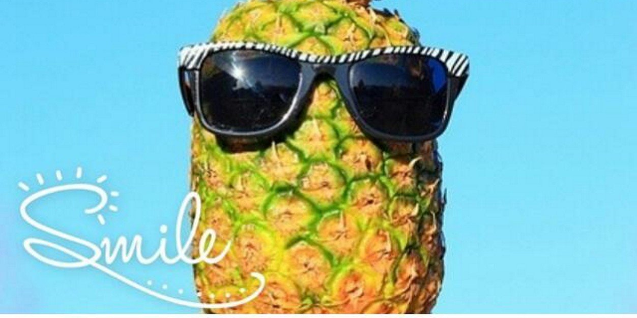 RoselinMN's profile banner image