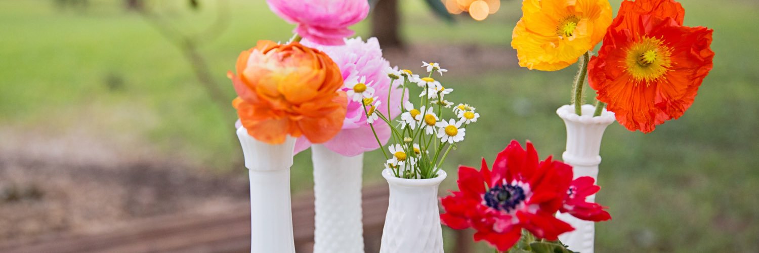 TraciBPhotoCom's profile banner image