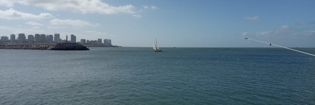 perro_mdq's profile banner image