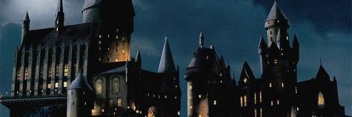 mcisnerosy's profile banner image