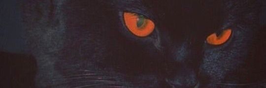 ___NataliaH's profile banner image
