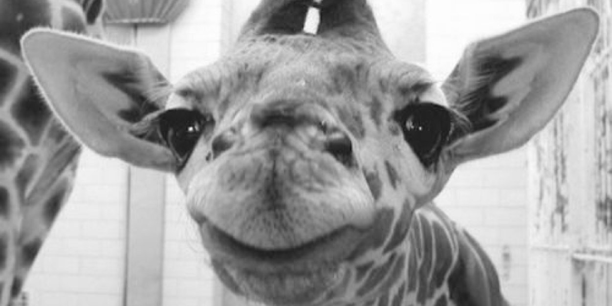 coletteee47's profile banner image