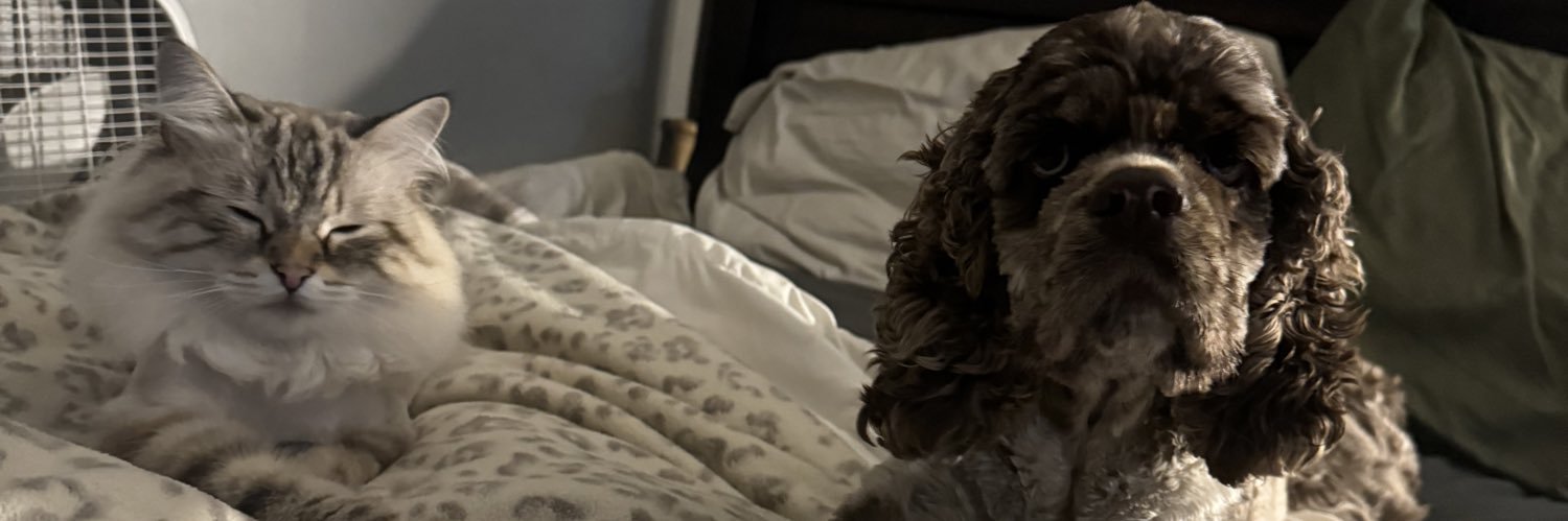 Cooper Noehre banner