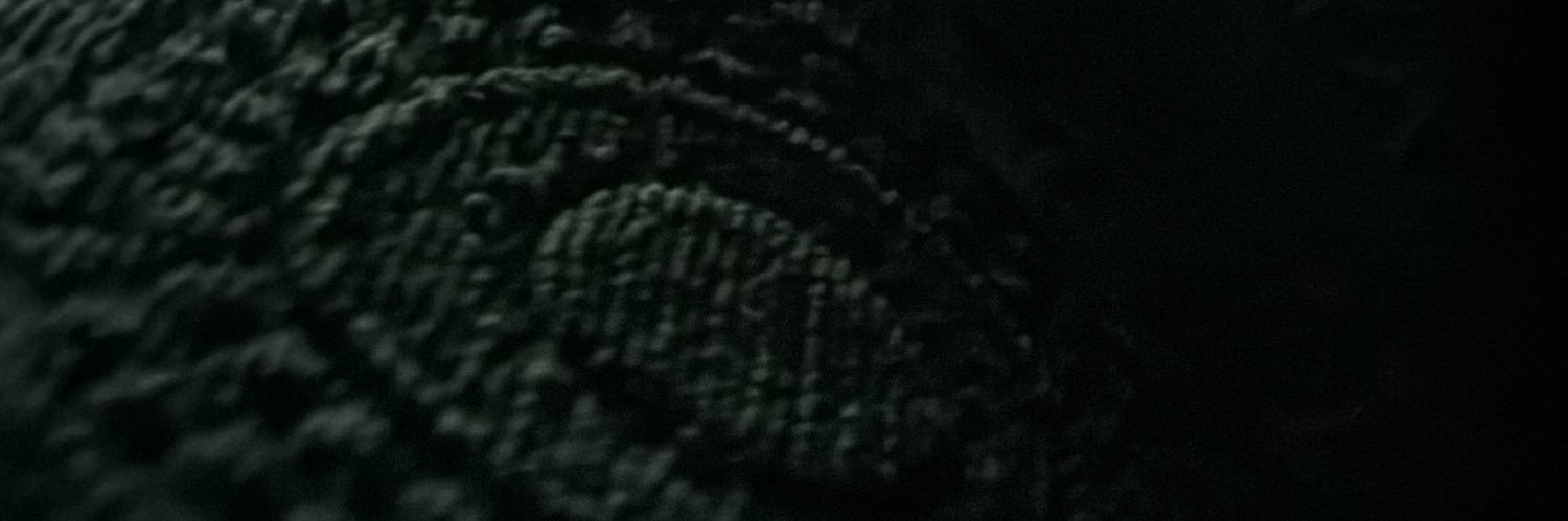 rostig_hund's profile banner image