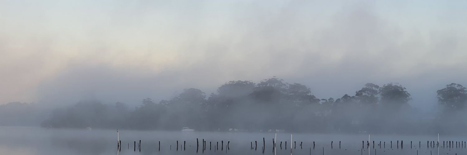 Sally Purcell banner