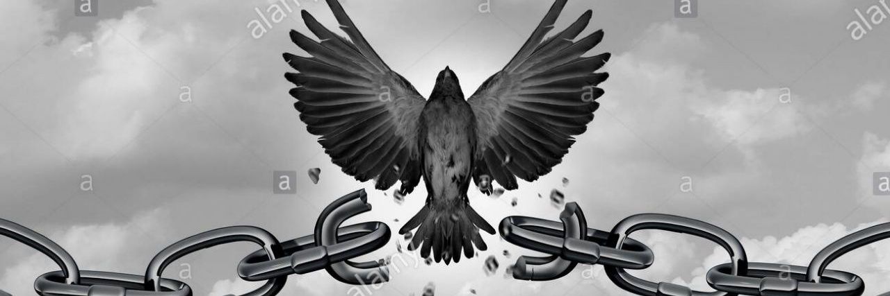 Libertadores 🦅 banner