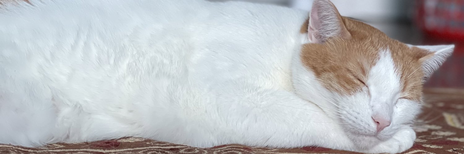 omarassaly's profile banner image