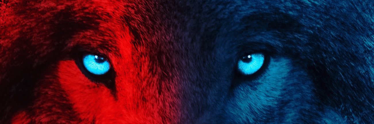 Davidnutt19's profile banner image