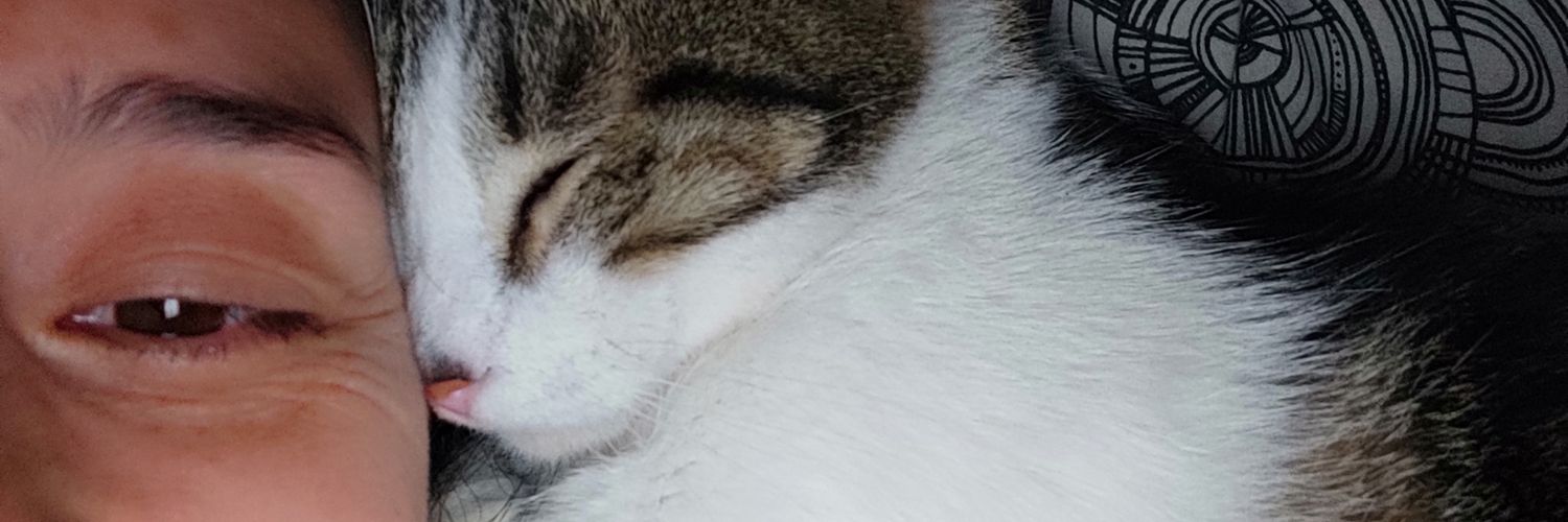 Tamaritx's profile banner image