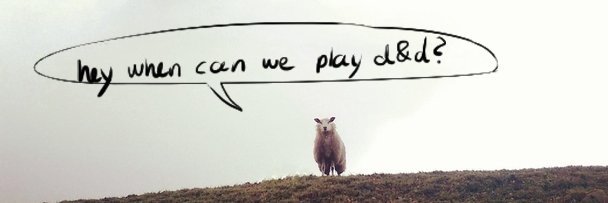 RRaggen's profile banner image