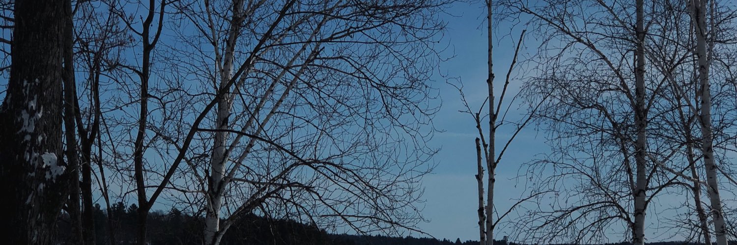JustmeEmmaa's profile banner image