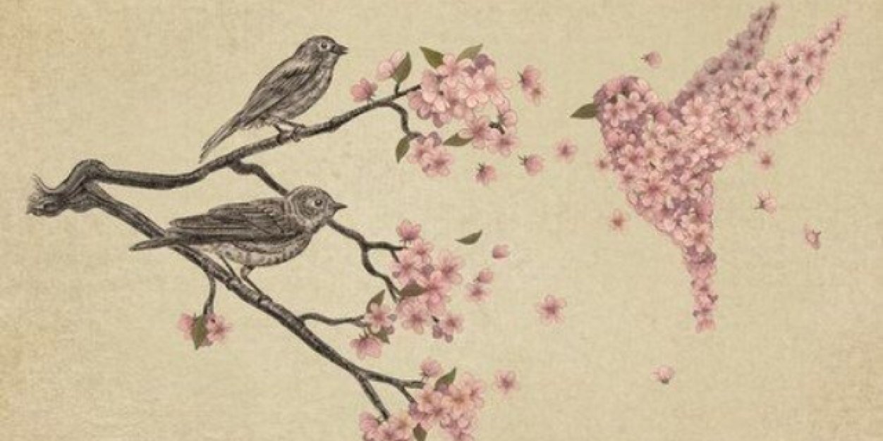 CesiaSoto's profile banner image